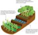 delve in soils and water conservation management
