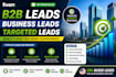 provides b2b lead generation,targeted leads,business leads