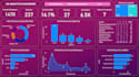 create a professional power bi dashboard and interactive data report