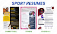 write a professional CV or resume in english or french