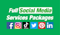 be social media manager and content creator