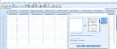 do your spss tasks and assignments