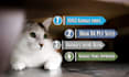 do pet guest post on high da pet guest blogs with dofollow backlinks