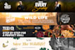 design professional youtube banner, web banner and logo