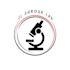 create eye catching logo designs that make your brand shine
