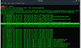 do penetration testing and web vulnerability assessment for your application