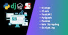 be your professional python coder