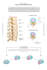 do 2d and 3d medical animation