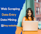 do web scraping,data entry,data mining, and data extraction