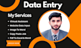 do data entry, web scraping, extraction, and data mining