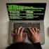 be your programmer, web developer, software developer
