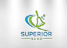 make different cleaning logo design with express delivery