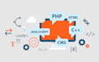 dev management system software, web application, lms canvas, erp app, crm dev
