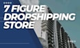 build converting shopify dropshipping store, 7 figure shopify dropshipping store