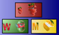 create flash and learning cards for kids