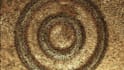 do shot video ads simulation,fx houdini chocolate simulation 3d