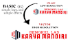 redraw logo or images into vectors with adobe ilustrator