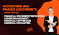 do accounting and finance assignments, financial analysis