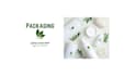design name logo for your brand