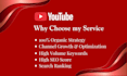 do best youtube video SEO expert