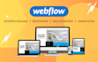 develop a professional webflow website