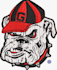 do embroidery digitizing cap logo very smoothly just 1 hour