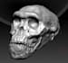 make high quality 3d printable models