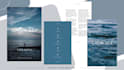 design lead magnet, ebooks, and any pdf in canva