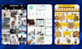 handle your social media accounts as a professional social media manager