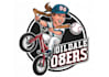 design excellent baseball logo