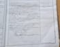 transcribe and translate your family documents