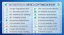 do wordpress speed optimization for google pagespeed insights