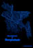 consult custom geospatial projects