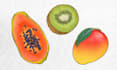 do digital food illustrations for your brand or menu