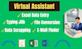 do data entry, file conversion, copy paste, web scraping