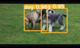 do machine learning and deep learning using python