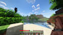 play minecraft with you