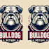 make eye catching bull dog mascot logo only 12 hours
