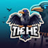 do, make, style, the, crow, bird, mascot logo design