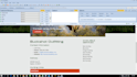 create you a Web Scraper using Visual Web Ripper