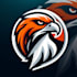 do, modern, style, hawk, head, mascot logo