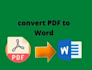 convert PDF into editable word file professionally
