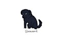 draw a cute or funny chibi version of your unique pet