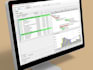 develop, manage and review epc project schedules
