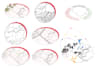 create architectural conceptual and analysis diagrams