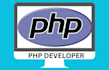 do php  javascript ecommerce wix wordpress shopify  theme plugin