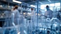 be your chemist for new product and engineering project