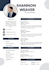write your executive resume