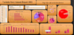 create professional excel dashboards and reports for your business