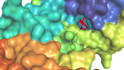 virtual screen 5k ligands using molecular docking